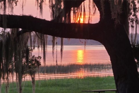 Land in Salt Springs, Florida № 1422560 - photo 1
