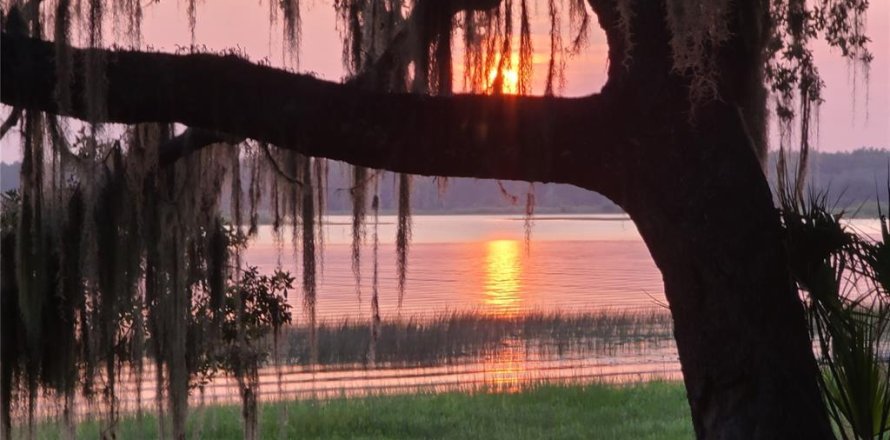 Land in Salt Springs, Florida № 1422560