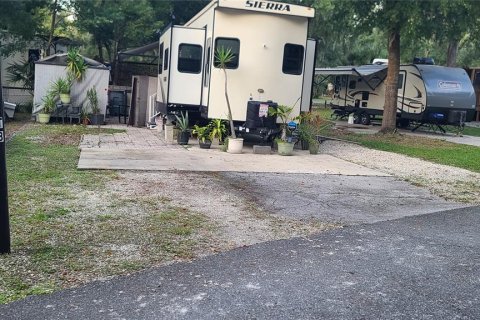 Land in Salt Springs, Florida № 1422560 - photo 6