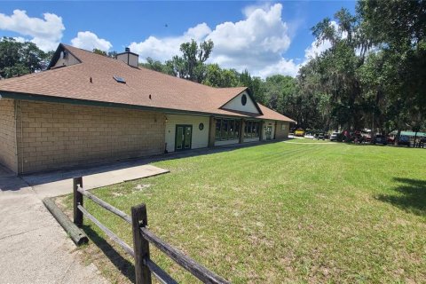 Land in Salt Springs, Florida № 1422560 - photo 14