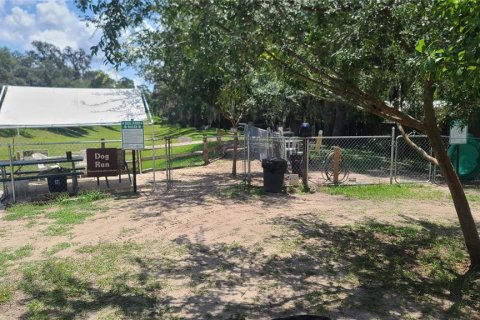 Land in Salt Springs, Florida № 1422560 - photo 25