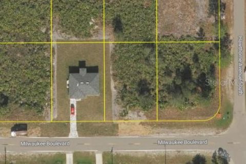 Land in Lehigh Acres, Florida № 2159445 - photo 4