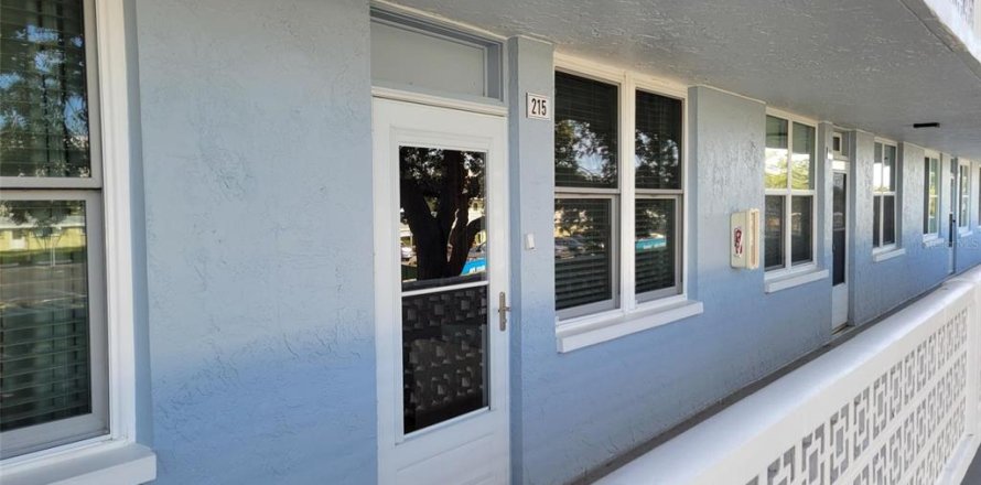 Condo in Saint Petersburg, Florida, 2 bedrooms  № 1411209