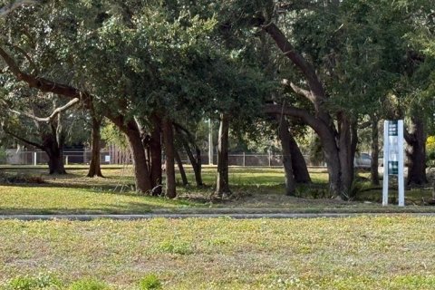 Terrain à New Port Richey, Floride № 2434875