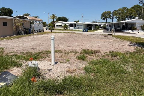Land in Sarasota, Florida № 2206212 - photo 2