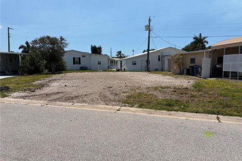 Land in Sarasota, Florida № 2206212 - photo 3
