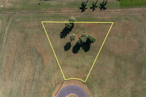 Land in Punta Gorda, Florida № 2158763 - photo 17