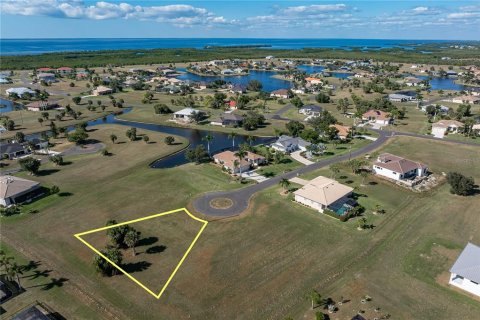 Land in Punta Gorda, Florida № 2158763 - photo 8