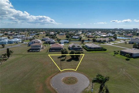 Land in Punta Gorda, Florida № 2158763 - photo 3