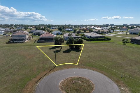 Land in Punta Gorda, Florida № 2158763