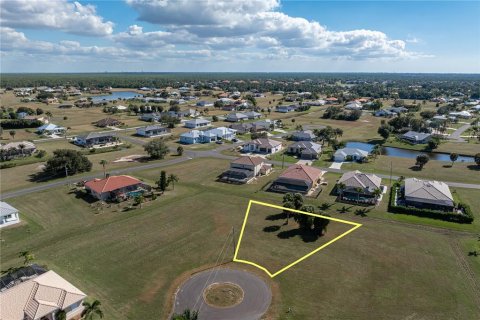 Land in Punta Gorda, Florida № 2158763 - photo 13
