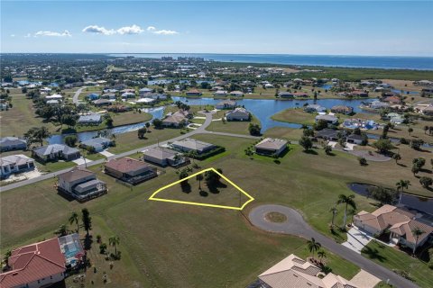 Land in Punta Gorda, Florida № 2158763 - photo 6