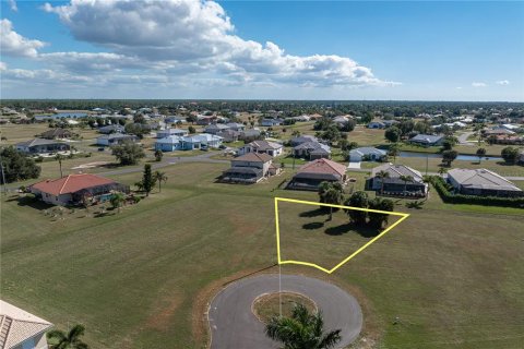 Land in Punta Gorda, Florida № 2158763 - photo 4