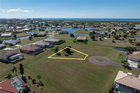 Land in Punta Gorda, Florida № 2158763 - photo 14