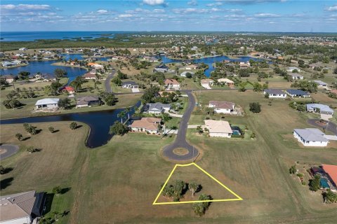 Land in Punta Gorda, Florida № 2158763 - photo 9