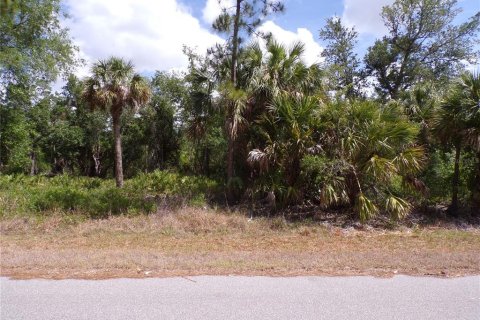 Land in Port Charlotte, Florida № 2163705 - photo 2