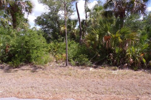 Land in Port Charlotte, Florida № 2163705 - photo 5