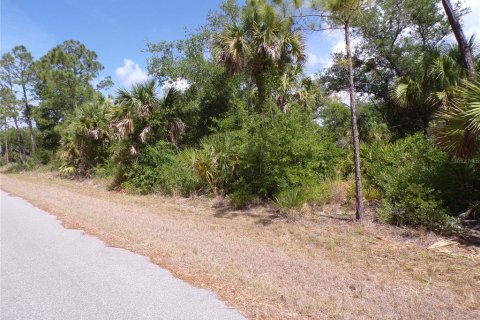 Land in Port Charlotte, Florida № 2163705 - photo 6
