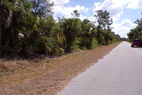 Land in Port Charlotte, Florida № 2163705 - photo 3