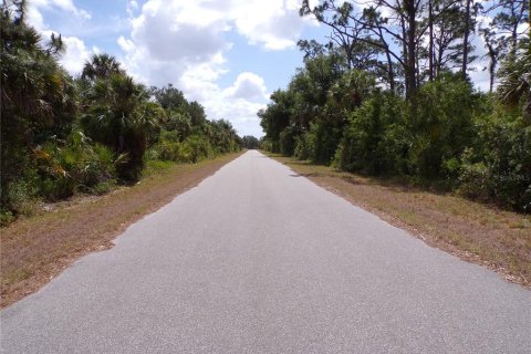 Land in Port Charlotte, Florida № 2163705 - photo 9