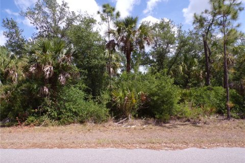 Land in Port Charlotte, Florida № 2163705