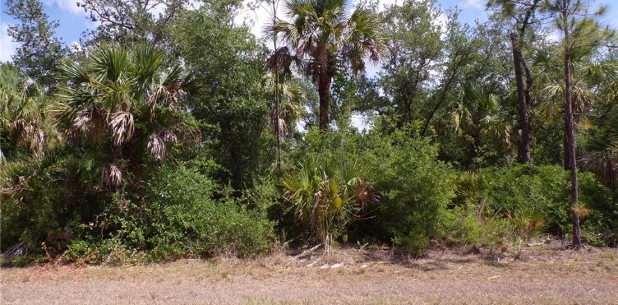 Land in Port Charlotte, Florida № 2163705