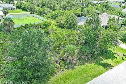 Land in Englewood, Florida № 2164989 - photo 4