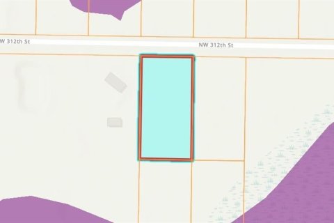 Land in Okeechobee, Florida № 2163847 - photo 4