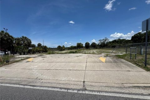 Land in Tampa, Florida № 2214305