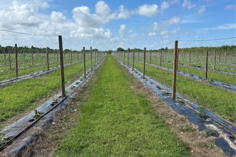 Commercial property in Homestead, Florida № 1790494 - photo 1