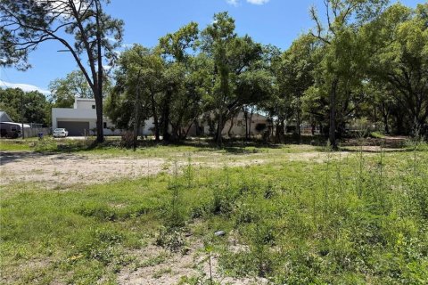 Terreno en Tampa, Florida № 2167017