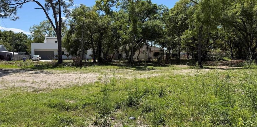 Terreno en Tampa, Florida № 2167017