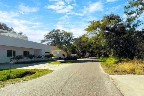 Terreno en venta en Tampa, Florida № 2167017 - foto 5