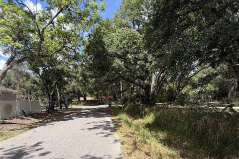 Terreno en venta en Tampa, Florida № 2167017 - foto 4