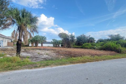 Land in Port Charlotte, Florida № 2160896 - photo 4