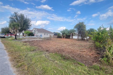 Land in Port Charlotte, Florida № 2160896 - photo 2