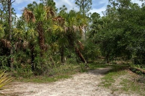 Land in North Port, Florida № 1791366 - photo 15