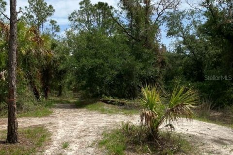 Land in North Port, Florida № 1791366 - photo 7