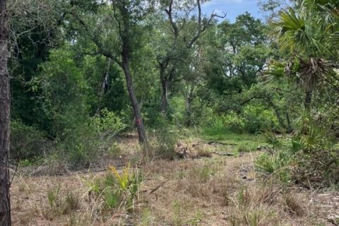 Land in North Port, Florida № 1791366 - photo 14