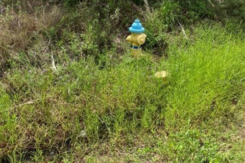 Land in North Port, Florida № 1791366 - photo 12