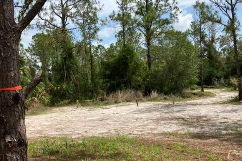 Land in North Port, Florida № 1791366 - photo 2