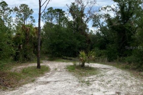 Land in North Port, Florida № 1791366 - photo 6