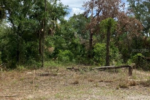 Land in North Port, Florida № 1791366 - photo 3