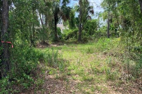 Land in North Port, Florida № 1791366 - photo 5