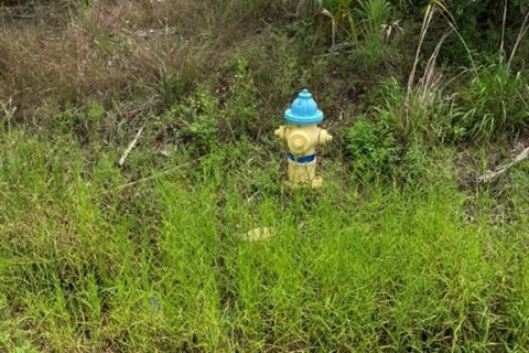 Land in North Port, Florida № 1791366 - photo 4