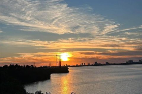 Touwnhouse à vendre à Tampa, Floride: 2 chambres, 161 m2 № 2236589 - photo 28