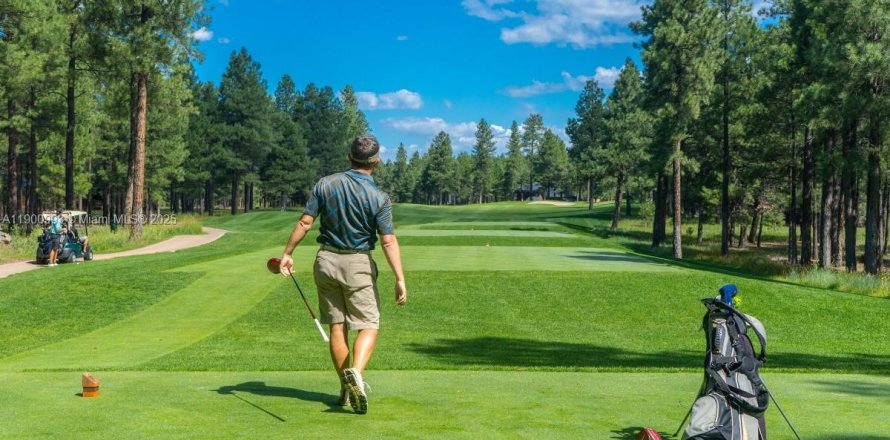 House in Lake Worth, Florida 6 bedrooms, 292.18 sq.m. № 1953646