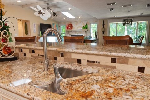 House in New Port Richey, Florida 4 bedrooms, 446.4 sq.m. № 1801705 - photo 9