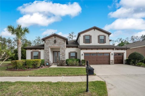 Casa en Land O' Lakes, Florida 5 dormitorios, 335.93 m2 № 2200869