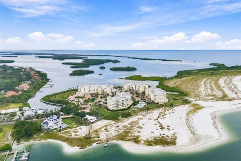 Condo in Tierra Verde, Florida, 3 bedrooms № 2403349 - photo 5
